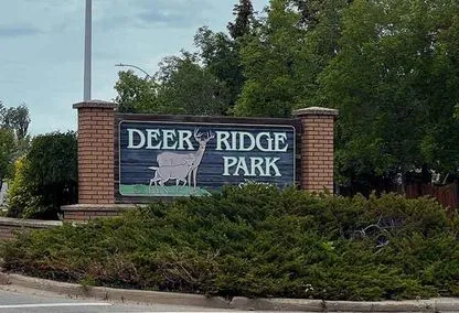 dentist near deer